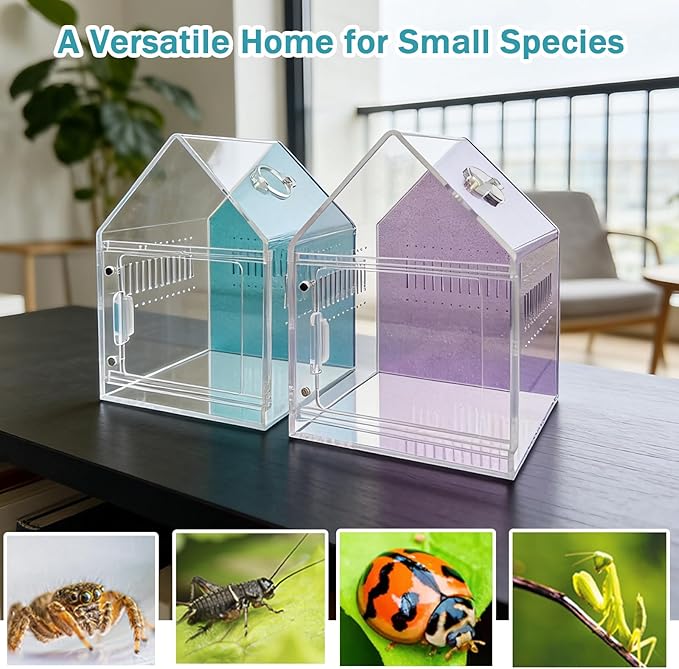 Magnetic Acrylic Spider Enclosure 5.3x5.3x7.3 Inch, House Shape Terrarium with Blue or Purple Background for Jumping Spiders, Tarantula Slings & Mantis, Escape-Proof Habitat (Blue)