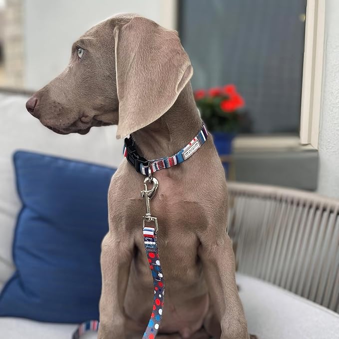 Lucky Love Dog - Adjustable Dog Collar and Leash Set with Easy Click Buckle for Small Dogs, Durable, & Comfortable Collar for Male & Female Dogs, Puppies & Adult Ones - Linus Combo, Small