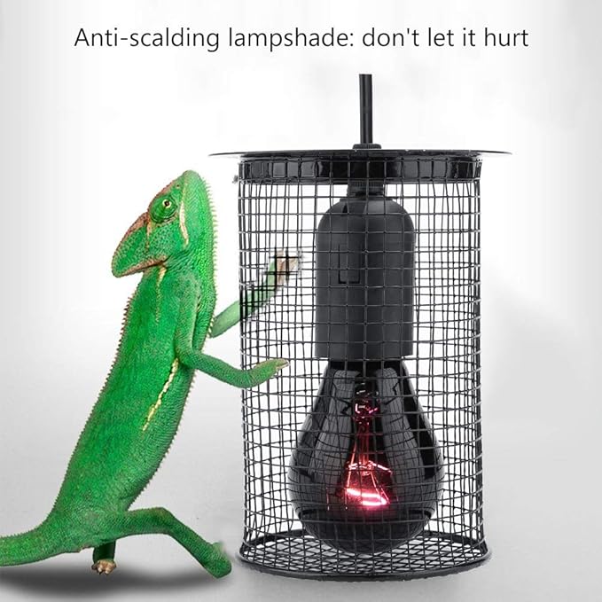 Reptile Anti Scald, Reptile Heater Lamp Guard Reptile Lampshades for Spiders Scorpions Lizards
