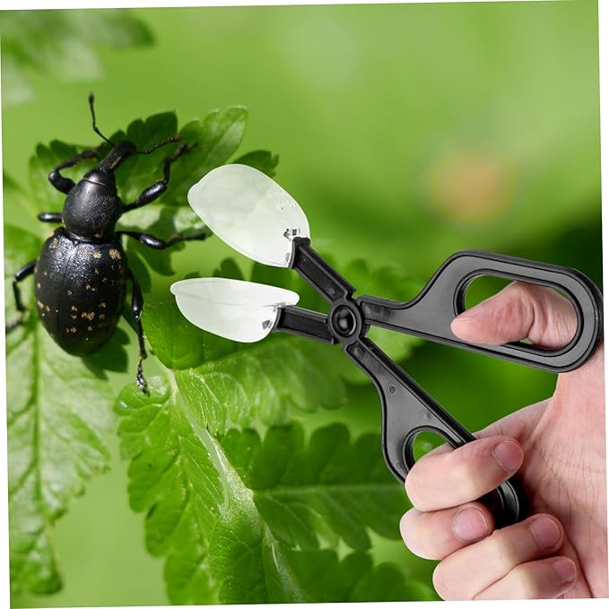 Totority 3pcs Reptile Feeding Clip Abs Material Tortoise Habitat Accessories Reptile Cleaning Supplies