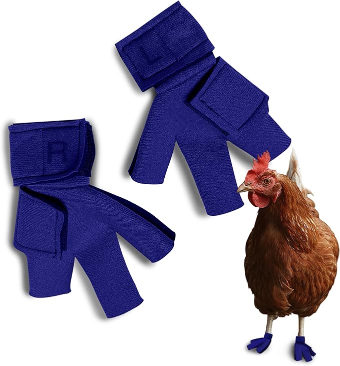 Chicken Shoes for Injured Feet – Protective Neoprene Footwear for Chicken, Open-Toe Design for Bumblefoot Relief, Made in USA - Large, 4" Max. Inside Width, Royal Blue