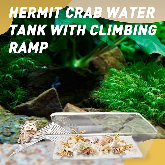 2 Packs Large Hermit Crab Pool - Ideal Hermit Crab Tank Combination - Pool with Cuttable Climbing Ramp