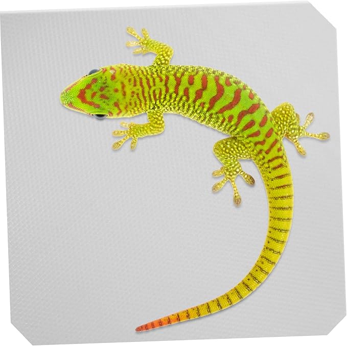 KESYOO Reptile Carpet Substrate for Bearded Dragon Tortoise Gecko Snake Durable Reusable Terrarium Bedding Grey for Reptile Tanks Cages