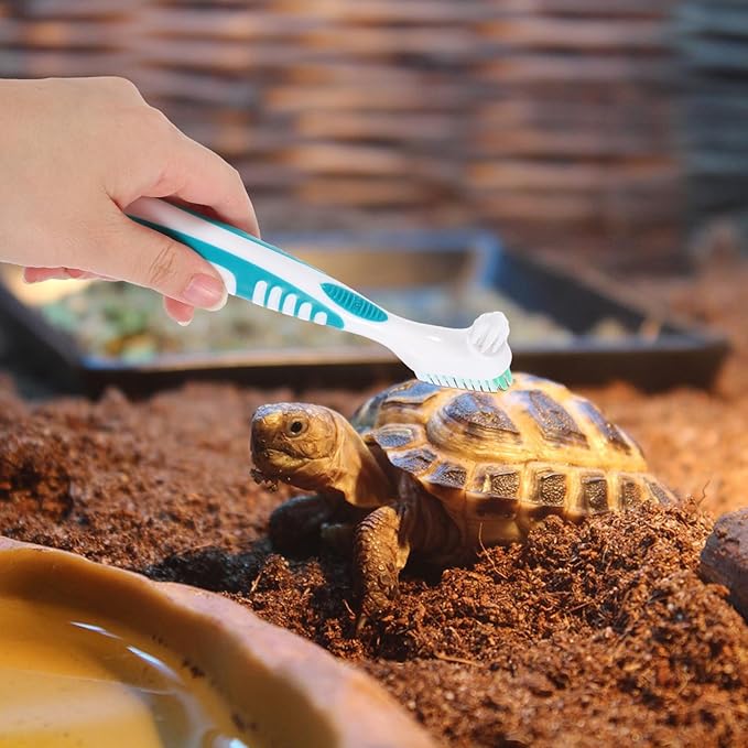 minkissy 2pcs Double-Sided Small Turtle Shell Cleaning Brush Multi-Functional Aquatic Tortoise Mud Remover for Household Reptile Health Maintenance