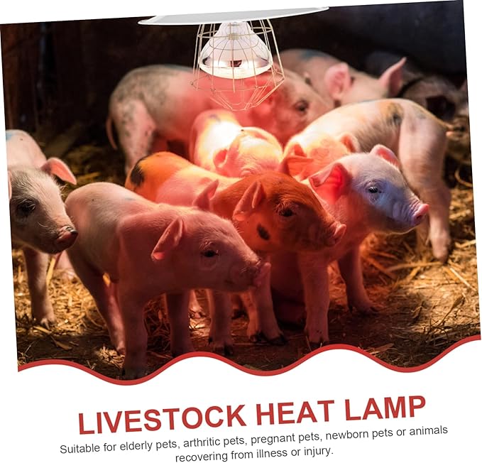 LIOOBO Poultry Heat Lamp Set Heat Lamp Heater for Chickens Pigs Reptiles Pet Warming Light Safe
