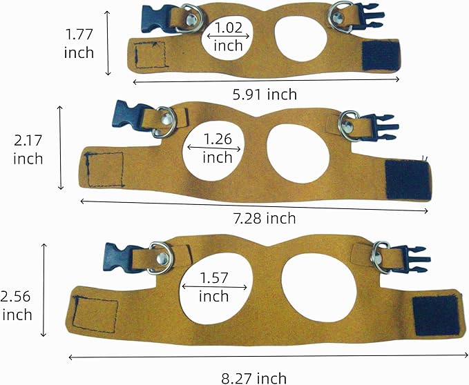 Reptile Pets Leash Harness Set with Jackets and a Hat for Bearded Dragon Lizard, Leopard Gecko and Other Small Animal Pets, Outdoor Play