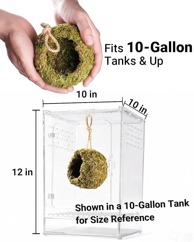 Handmade Crested Gecko Tank Accessories – Bearded Dragon Accessories, Reptile Hideout, Hermit Crab and Small Reptile Habitat 4.7×3.5×9in