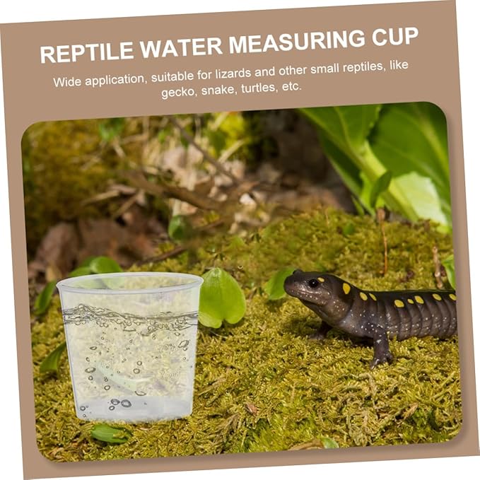 20ml Reptile Food Measuring Cups Set 30pcs Washable Scale Cups for Crawling Pets Practical Measuring Dishes for Lizards and Small Animals