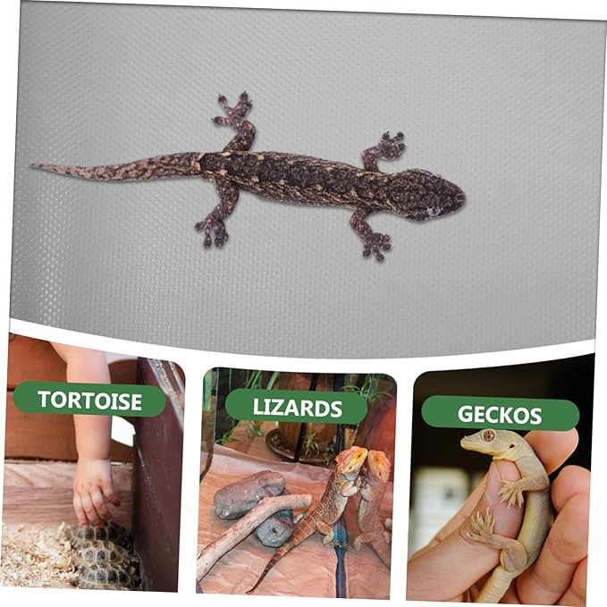 Abaodam Terrarium Substrate Carpet for Reptiles Non Adhesive Reptile Bedding Liner for Snakes Tortoises and Lizards Grey Comfortable and Active Environment
