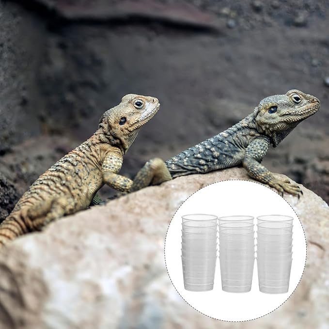 20pcs 20ml Reptile Food Measuring Cups Set Lids, Plastic Feeding Bowls for Gecko and Lizard Pet Feeding, Precise Portion Control for Reptile Care