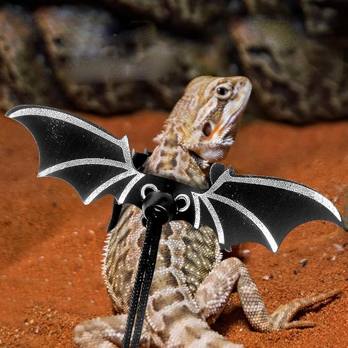 Bearded Dragon Leash and Harness Set, 3 Size Adjustable Lizard Harnesses with Gold Black Wing, Soft Reptile Leash for Small Animal Outdoor Walking
