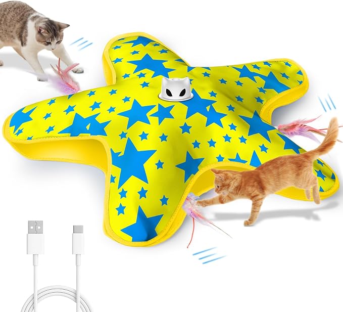 Interactive Cat Toys for Indoor Cats with Moving Concealed Feathers by Unknown