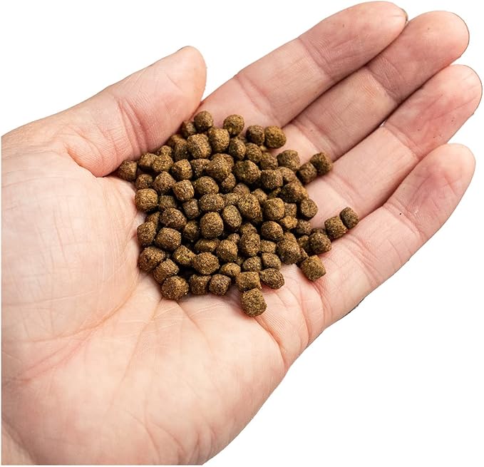 Pond Fish Food Probiotic Blend | 3.5 lb Floating Pellets for Koi & Goldfish | Premium Food in a Resealable Foil Pouch for Freshness
