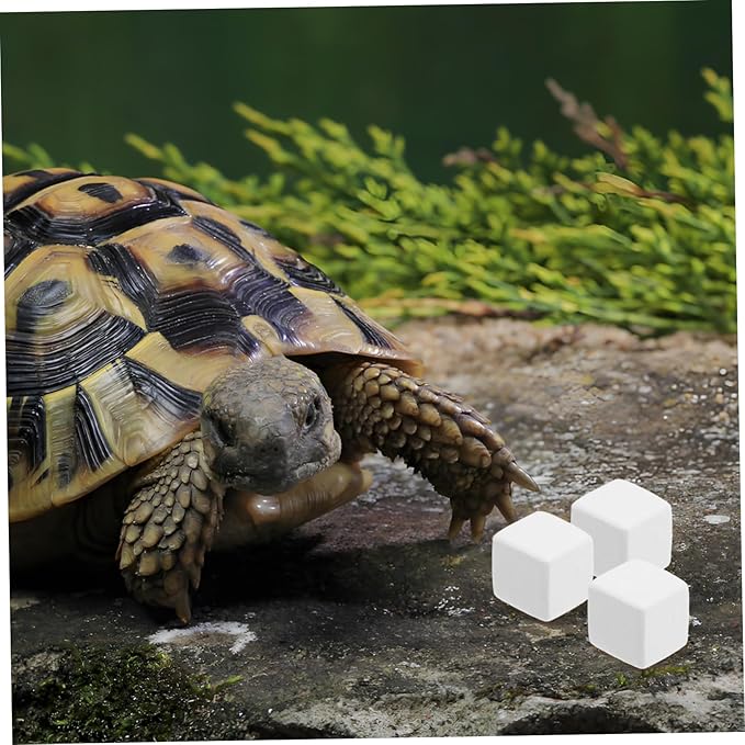 BESPORTBLE 6pcs Mineral Block Chew Toy for Birds Reptiles Turtles Pets Nutrient Source for Health Digestion and Immune Support