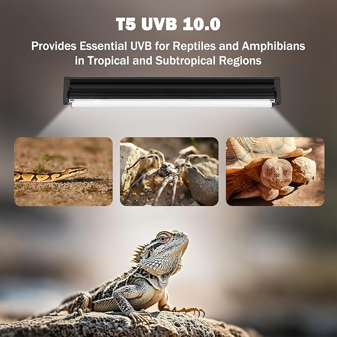T5 10.0 UVB Reptile Light Fixture, 24W 22" T5 UVA/UVB Fluorescent Tube Bulb for Bearded Dragon, Tortoise, Leopard Gecko, Desert Lizards