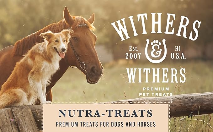 Withers & Withers Sugar-Free Horse Treats – Cinnamon with Oat Bran Horse Cookies, Goat Treats, Healthy Treats for Horses 16 Oz, 100% Compostable Bag – Humane Plant-Based Ingredients