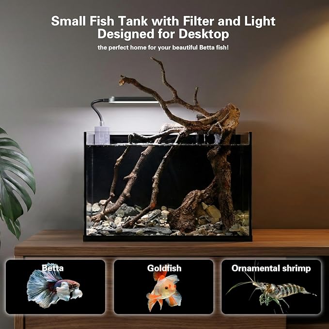 2.8 Gallon Small Aquarium Set Glass Fish Tank,Nano Nature Aquarium Kit with Waterfall Filter and Light for Beginners and Children to Keep Betta Fish, Goldfish, Shrimp, and Aquatic Plants