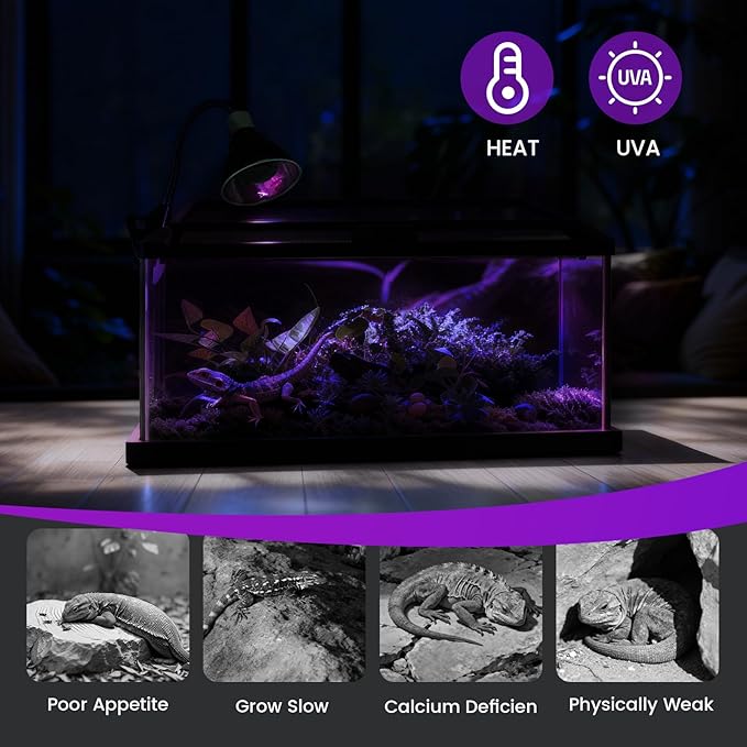 75W Reptile Night Light Bulb – 2-Pack Moonlight Purple Glow, Gentle Heat & UVA for Nocturnal Basking, E26 Base, Perfect for Bearded Dragon, Lizard, Turtle, Chicken