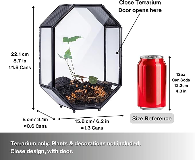 NCYP Glass Enclosure Terrarium with Mesh and Door for Spiders, Small Mantis, Jumping Spider - Octagon Shape Vented Glass Terrarium 6.2 x 3.1 x 8.7 inches, Black (Plants Not Include)