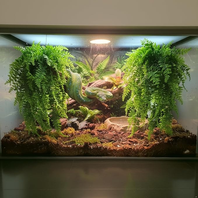PINVNBY Reptile Plants Hanging Fake Vines Boston Climbing Terrarium Plant with Suction Cup for Bearded Dragons Lizards Crested Gecko Snake Hermit Crab and Tank Habitat Decorations (2 Pack)