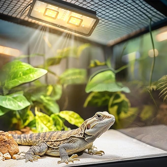 LED UVB Reptile Light – Dual UVA/UVB Lamp with Dimmer, 2 UV Modes, Timer & Fan Cooling, 10W for Turtles, Lizards, Snakes, Glass or Mesh Terrariums (6500K)