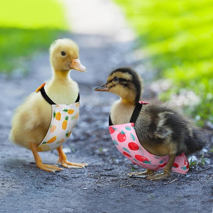 6 Pcs Chicken Diapers for Indoor Chickens Reusable Washable Duck Diapers with Bowtie Adjustable Ducklings Pet Poultry Potty Training Clothes for Rooster Chicken Geese(Classic,M)