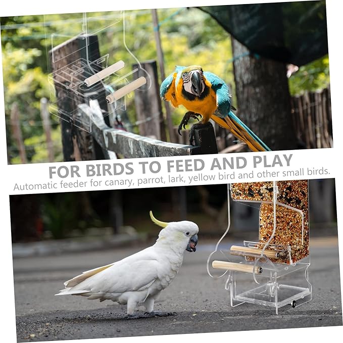 1pc Useful Bird Feeder Automatic Transparent Water Food Dispenser for Birds Acrylic Container for Parrots Canaries Larks and More for Outdoor Use
