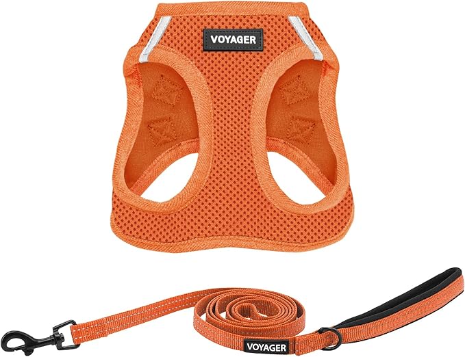 Best Pet Supplies Voyager Step-in Air All Weather Mesh Harness and Reflective Dog 5ft Leash Combo with Neoprene Handle, for Small, Medium and Large Breed Puppies - Set (Orange), Medium