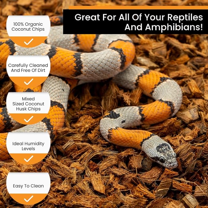 BabiChip Coconut Chip Substrate for Reptiles 12 Quart Loose Small Sized Coco Husk Chip Bedding for Ball Pythons, Other Snakes, Tortoises, Geckos, Frogs, or Lizard Terrarium Tanks