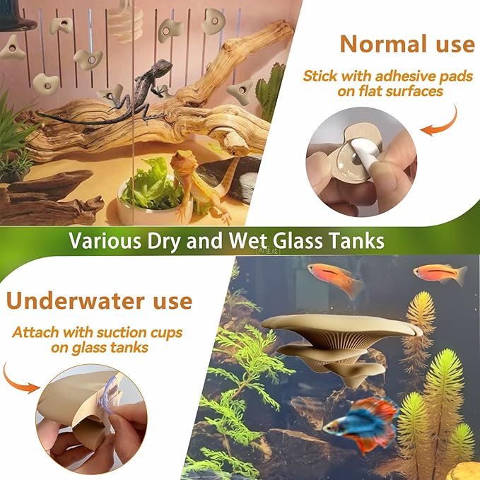 Mushroom Terrarium Decor & Climbing Hold Kit,with 12 Rock Holds, Suction Cups & Adhesive Dots for Geckos, Frogs, Small Lizards & Snakes in Dry/Semi-Moist Habitats (Desert Beige)