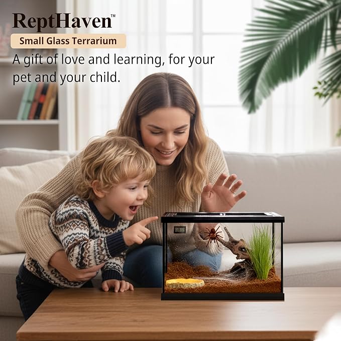 5-in-1 Small Reptile Glass Terrarium Kit 12x8x8in Full View Reptile Enclosure Tank w/Thermo-Hygrometer, Hide & Tongs for Jumping Spiders, Tarantulas, Hermit Crabs & Dwarf Geckos