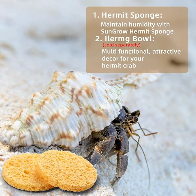12 Pieces Hermit Crab Sea Sponges - Unbleached Supplies for Maintaining Tank Humidity - Pet Accessories Providing Nutrients