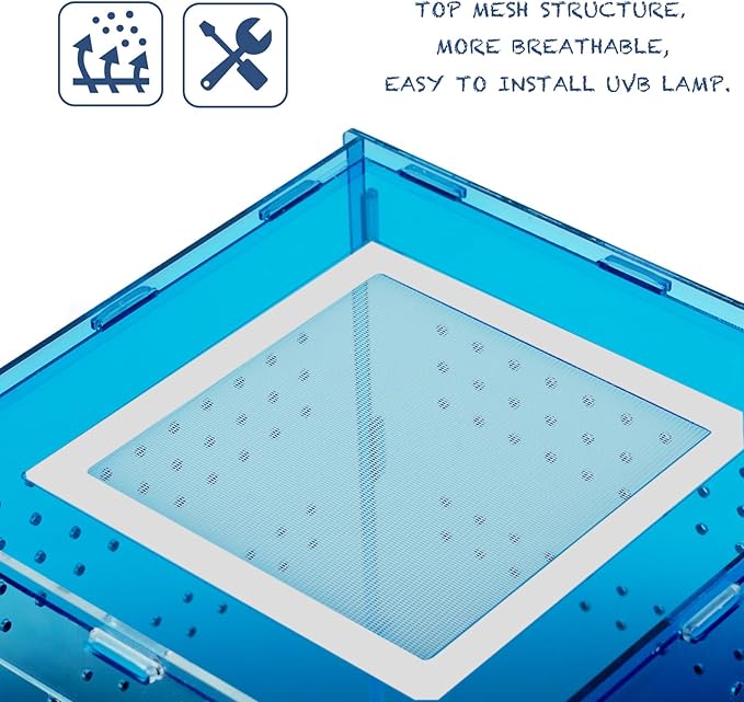8x8x12 Acrylic Reptile Tank – Cyberpunk Blue Reptile Enclosure Terrarium Inspired by New Caledonia Rainforest – Color Habitat for Geckos & Small Reptiles