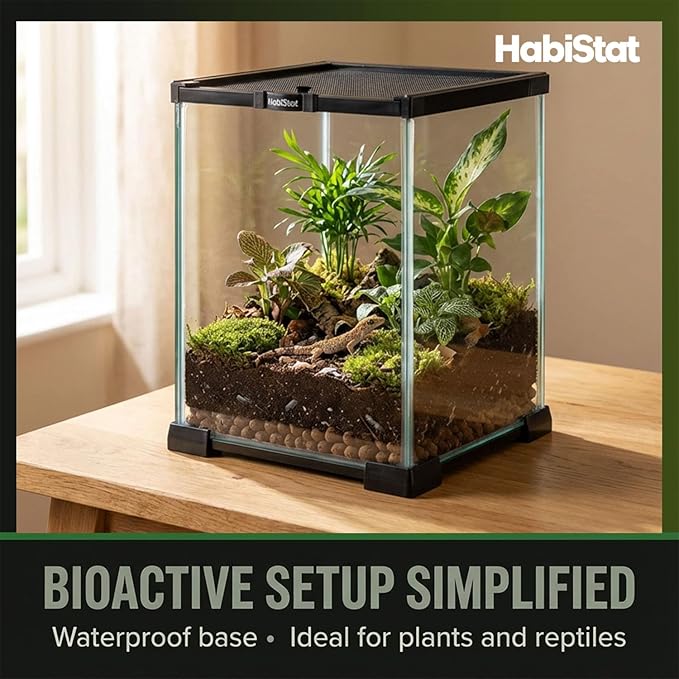 Habistat Glass 8"x8"x12" Terrarium