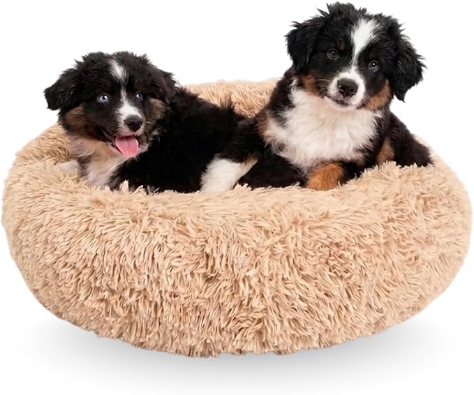Active Pets Premium Medium Donut Dog Bed, Fits Up to 45 lbs, Removable Cover & Washable Cushion, Plush Long Pile Faux Fur Fabric, Portable Beige Pet Bed Furniture for Puppies Adult Canines & Cats