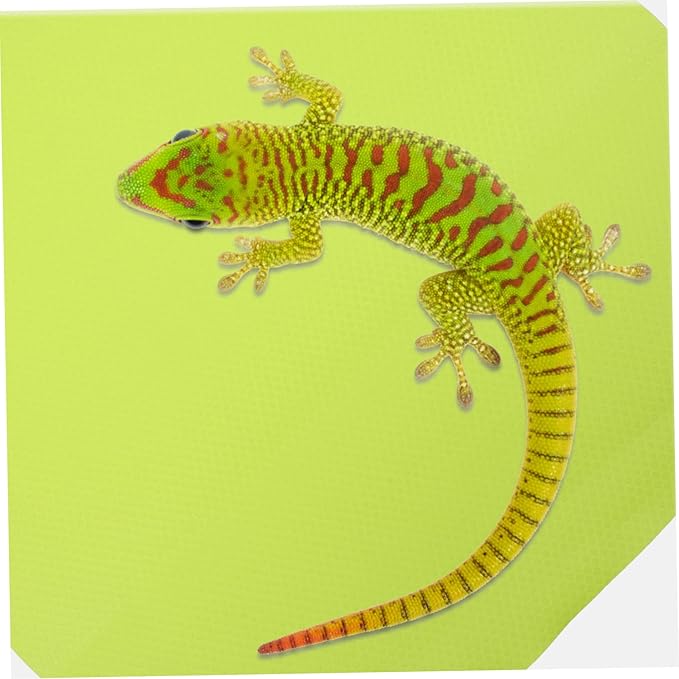 VICASKY Reptile Carpet Mat for Terrarium Soft Substrate Liner for Leopard Lizard Snake and Tortoise Lightweight Easy to Cut Portable Reptile Tank Accessory