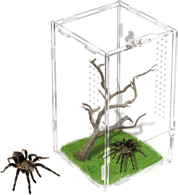 Rislobx Jumping Spider Enclosure, Acrylic Reptile Terrarium Enclosure Micro Habitat Tank Breeding Box for Tarantula Insect Small Reptiles (7.9" x 4.7" x 4.7")