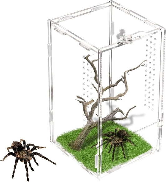 Rislobx Jumping Spider Enclosure, Acrylic Reptile Terrarium Enclosure Micro Habitat Tank Breeding Box for Tarantula Insect Small Reptiles (7.9" x 4.7" x 4.7")