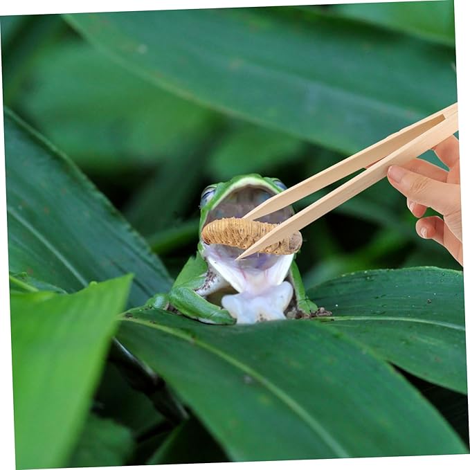 Sosoport 2pcs Reptile Food Tweezers Feeding Clips for Lizards Snakes Turtles and Crawling Pet Food Supply Feeding Tool