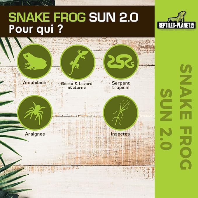 Reptiles Planet - Snake Frog Sun 2.0 - T5 Fluorescent Tube for Snakes and Amphibians - 24 W / 58 cm