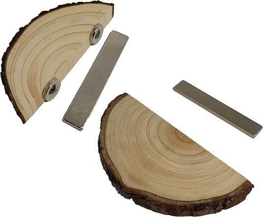 1 pc. Magnetic Arboreal Ledge | Jumping Spider Ledge | The Critters Cave (Stronger But Longer: Larger External Magnets)