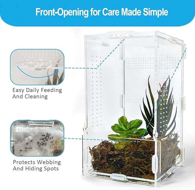 Jumping Spider Enclosure, Arboreal Tarantula Enclosure, Praying Mantis Terrarium Critter Cage for Jumping Spider, Tarantula Slings, Snail, Isopods, Beetles, Millipedes, Springtails