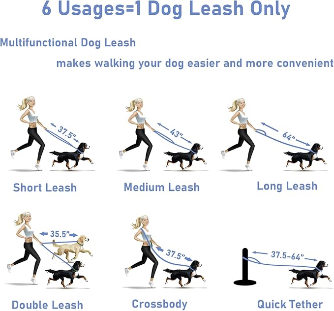 ZALER Dog Collar and Leash Set, Waterproof Adjustable Odor Proof Pet Collars Leashes Easy to Clean, 6FT Dog Leash with 2 Hooks for Large, Medium Small Dogs (M, Blue)
