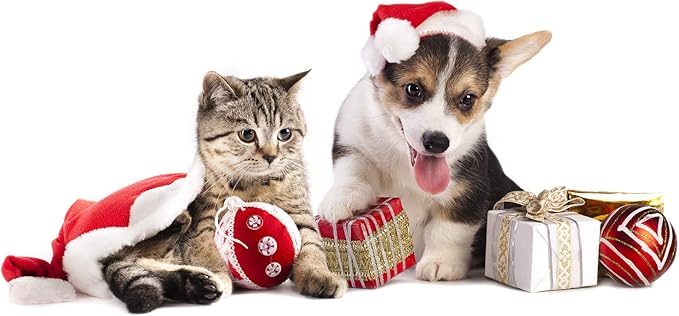 Pet Acoustics SD Card Expansion - Jingle Tunes
