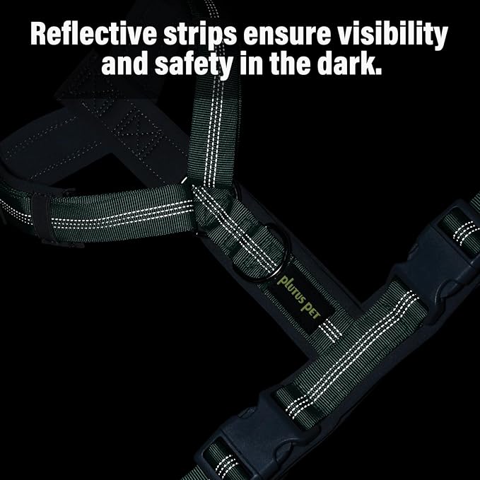 Plutus Pet No Pull Dog Harness, Adjustable Nylon Harness with Soft Padding, Reflective and Heavy Duty Dog Harness for Small, Medium, Large Dogs(Teal, L)