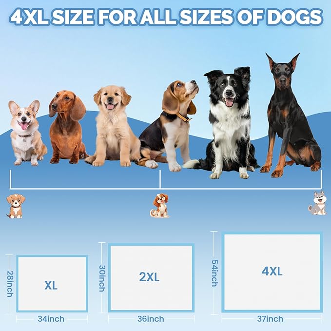 Bulubaky Heavy Absorbent Enormous 54"x37" Pee Pads for Large Dogs, Quick Dry Disposable Puppy Pee Pads, Thicken Strong Leak-Proof Backing Dog Pads 50Counts