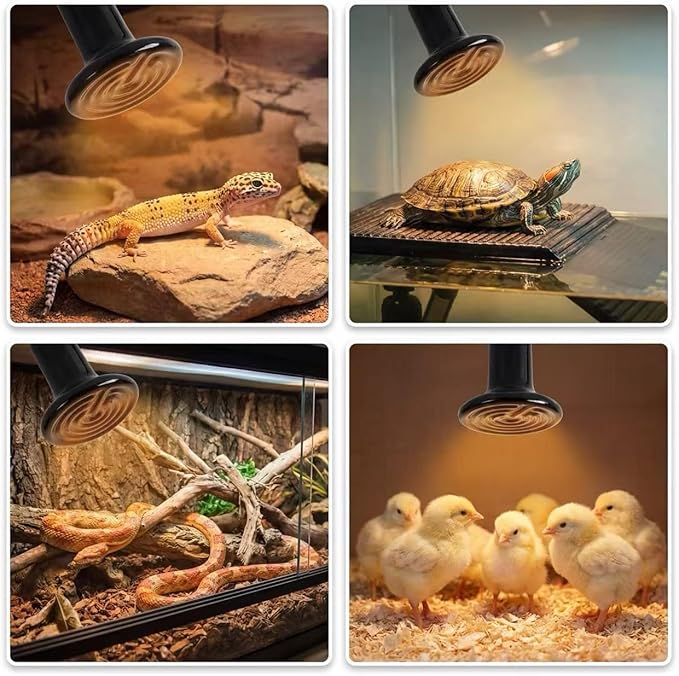 2Pcs 100W Reptile Heat Lamp Ceramic Emitter, Ceramic Heat Lamp for Cats, Chickens, Parrots, Reptiles and Small Animals (Black 110V 100W)