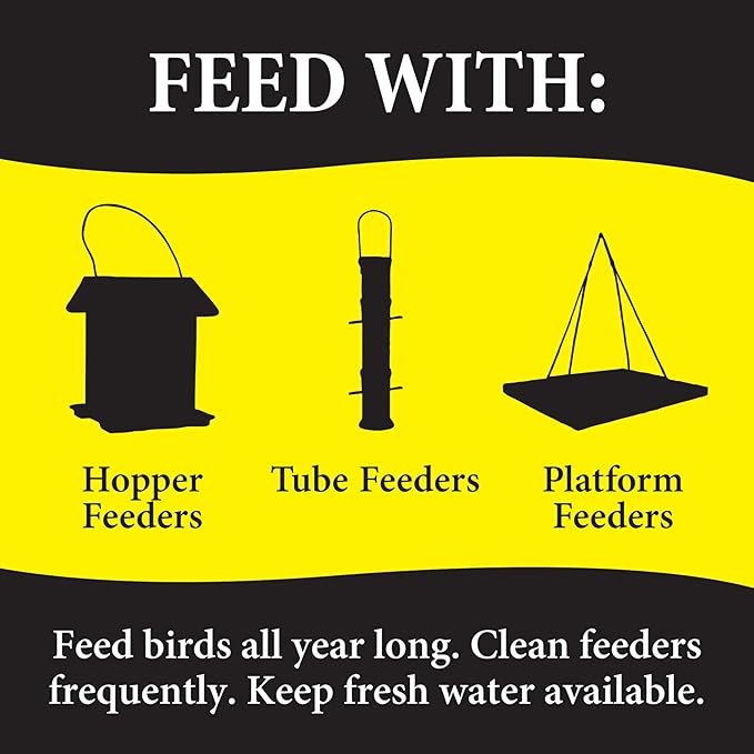 Wild Delight 099127 Bugs N' Berries Wild Bird Food, 4.5 lb (Pack of 6)