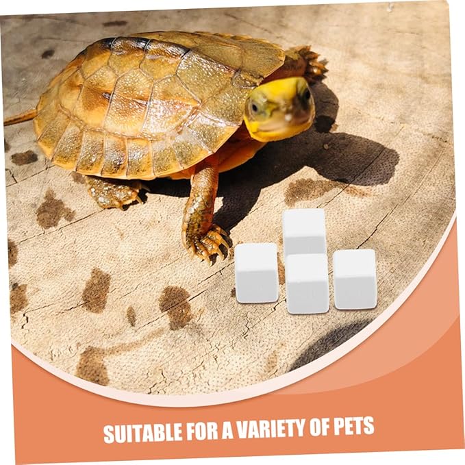 Toyvian 12pcs Reptile Enclosure Habitat Blocks Pet Mineral Block for Lizard Cat and Crab Care
