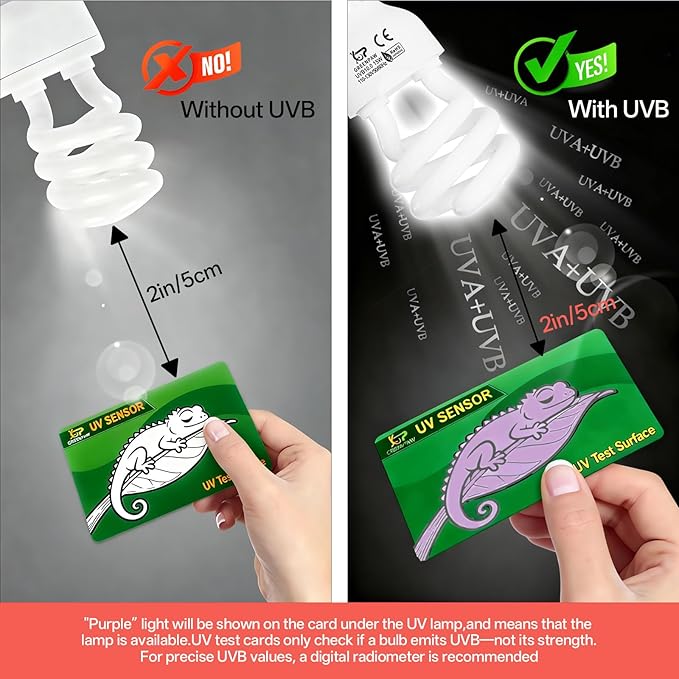 UVB Light for Reptiles 15.0: 15W Intense Desert UVA UVB Bulb for Reptiles - Reptile UVB Light Terrarium Compact Fluorescent Lamp- UVB Light for Reptile and Amphibian with A Free UV Sensor Card